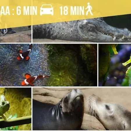 Apartament Nature Hyper Centre